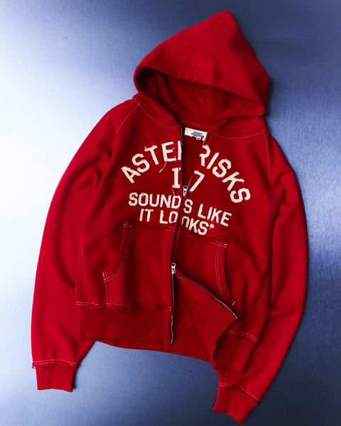 Frayed Collegiate Hoodie – Adidem Asterisks*